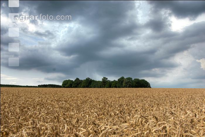 Gewitter kommt 11