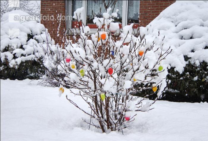 Weiße Ostern 1