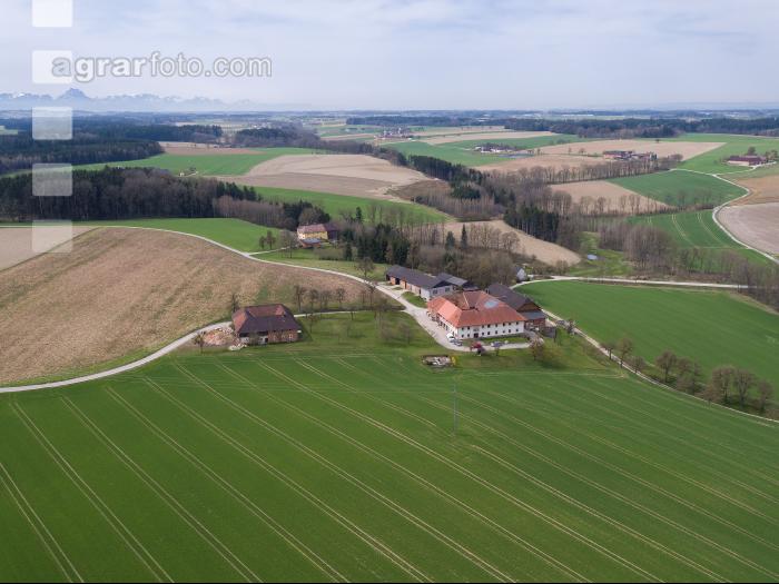 Bauernhof 17
