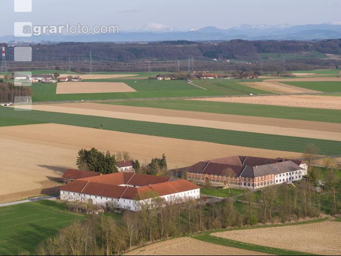 Bauernhof 20