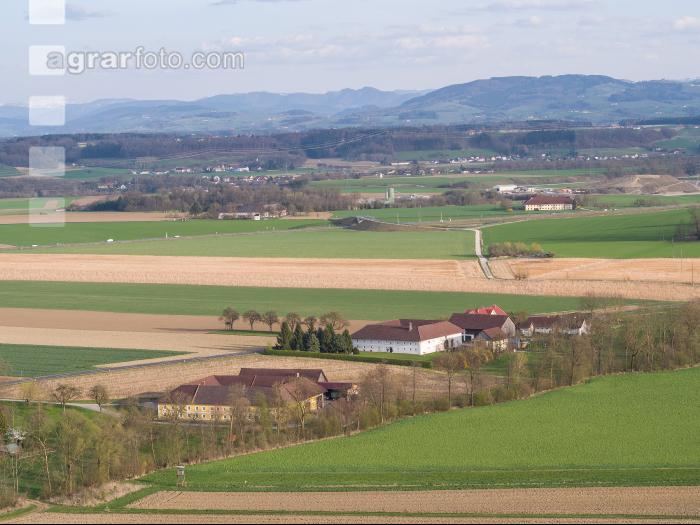 Bauernhof 21