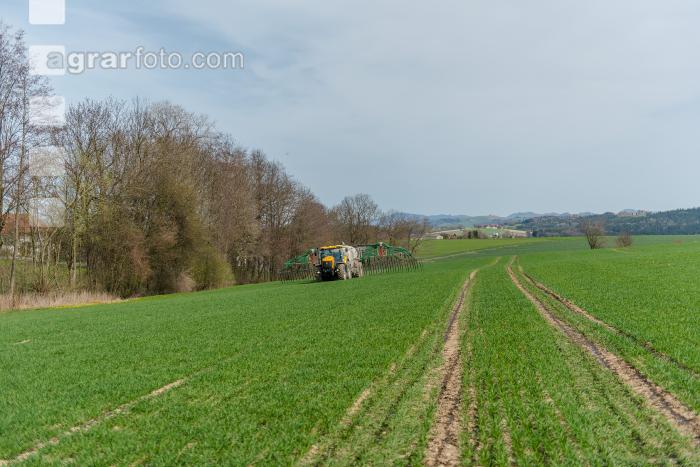 Gülle zu Weizenbestockung 21