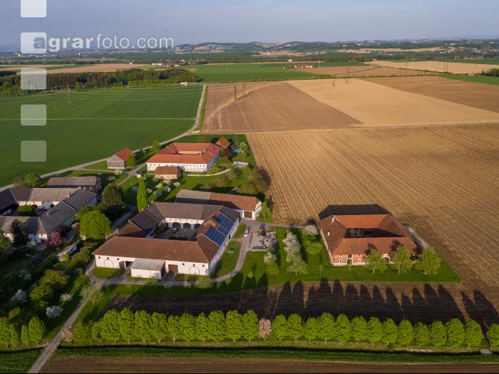 Bauerndorf OÖ 1
