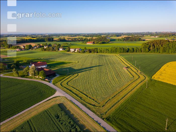 Gras häckseln 80