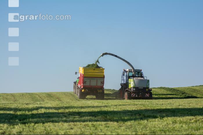Gras häckseln 79