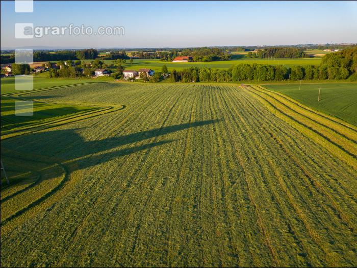 Gras häckseln 76