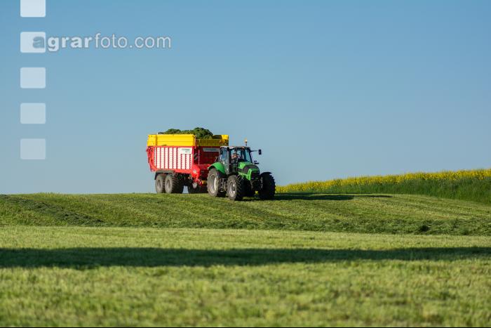 Gras häckseln 75