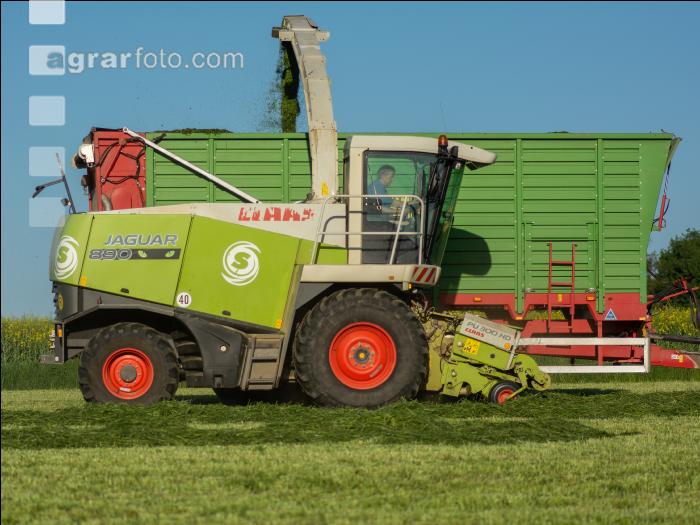 Gras häckseln 72