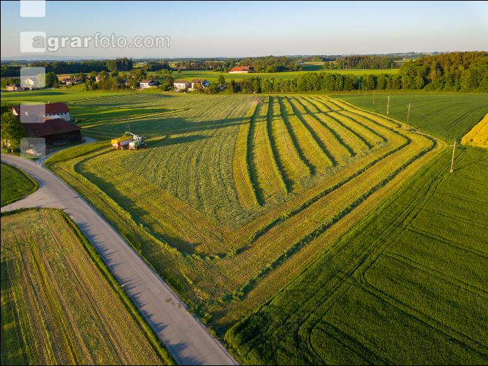 Schwaden Abendstimmung 6