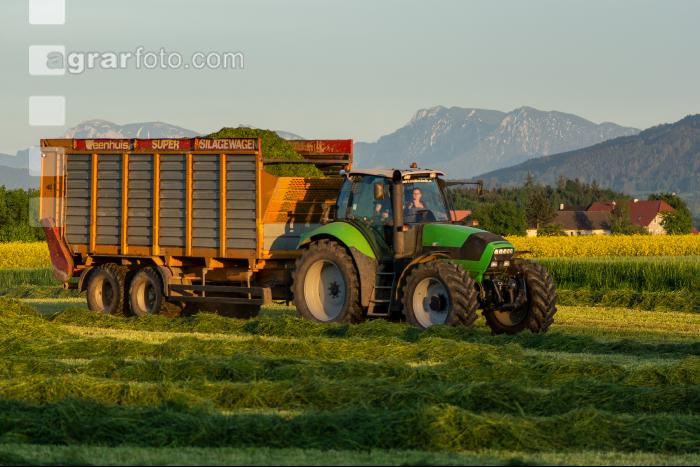 Gras häckseln 65