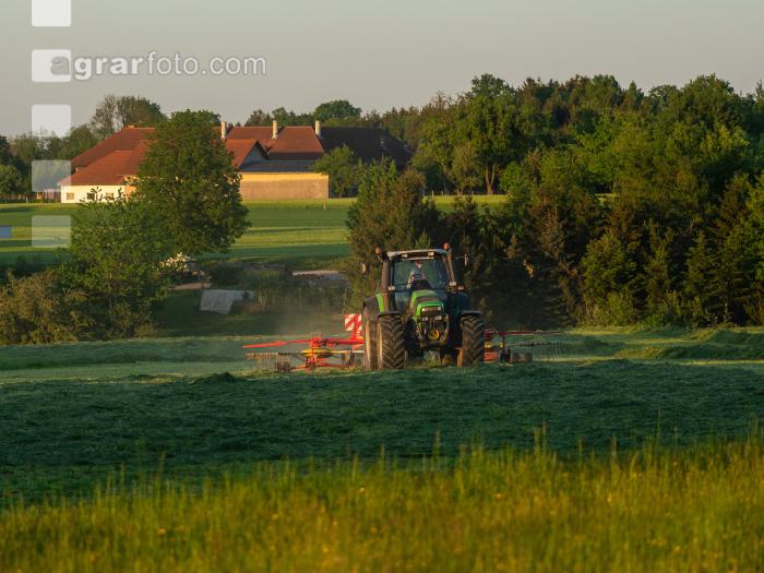 Schwaden Abendstimmung 1