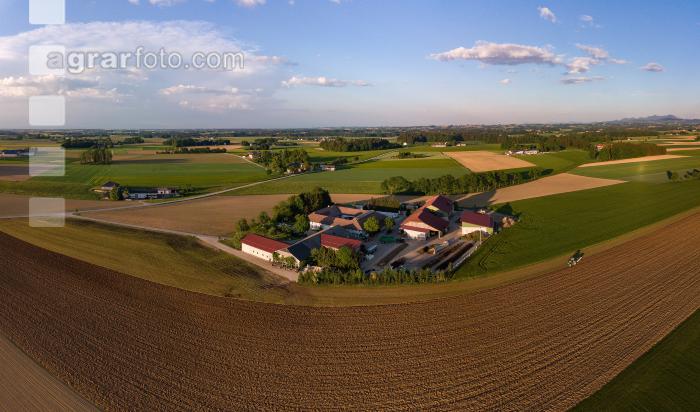 Kleegras pflügen 14