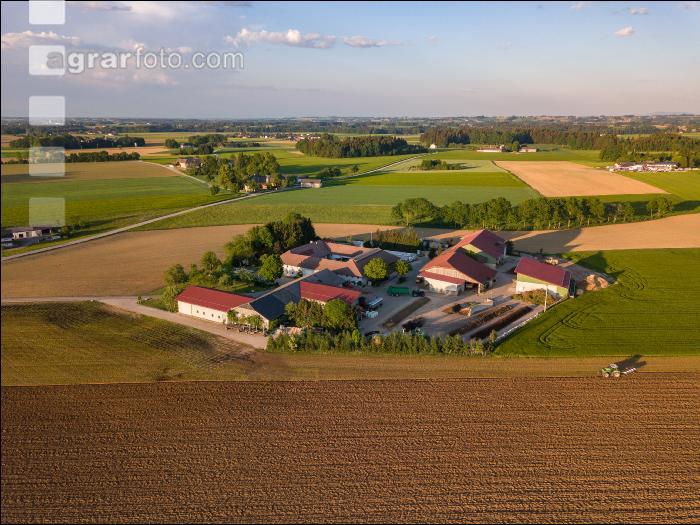 Kleegras pflügen 13