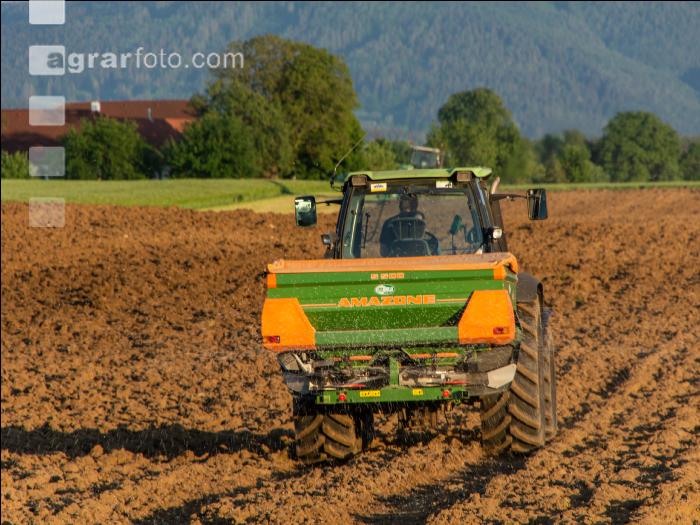 Düngung vor Feldfutteranbau 2
