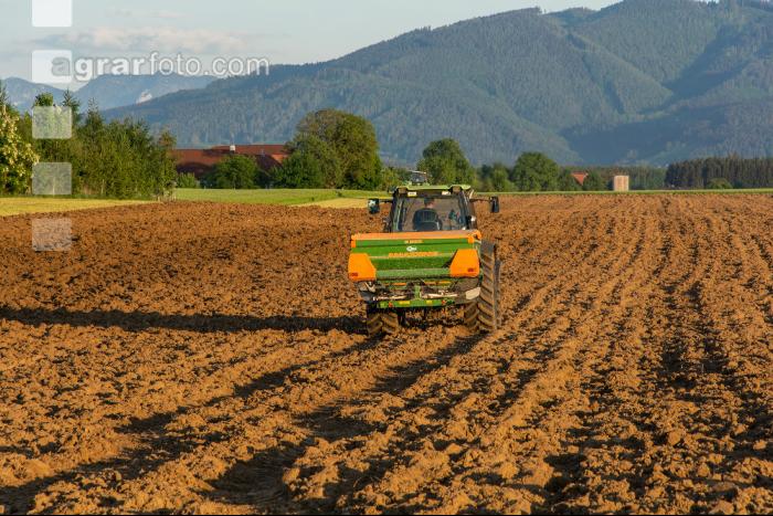 Düngung vor Feldfutteranbau 1