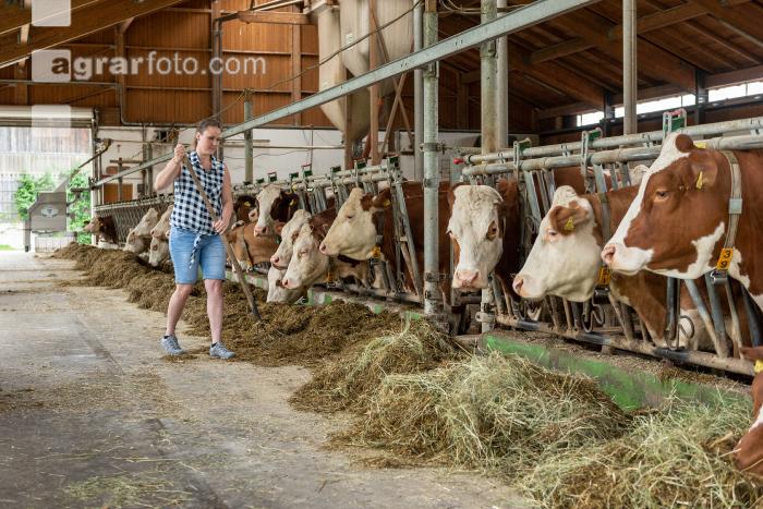 Bäuerin Stallarbeit 53
