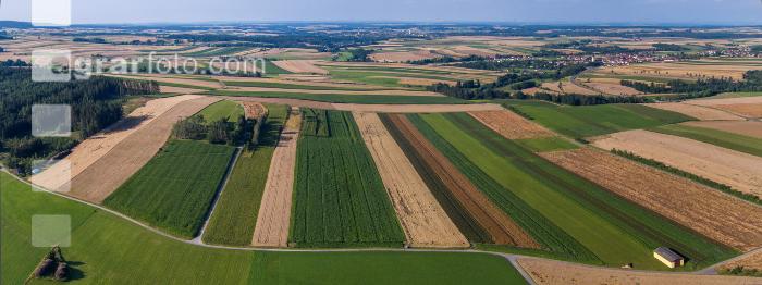 Waldviertel Oberedlitz 2