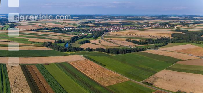 Waldviertel Oberedlitz 1