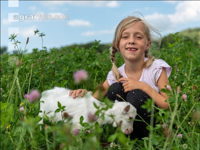 Saaneziege Kinder 2