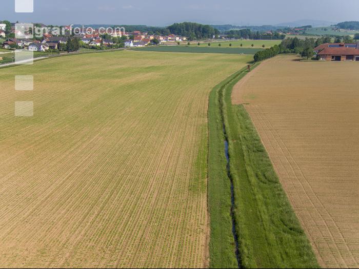 Regelabstand Pflanzenschutz 1