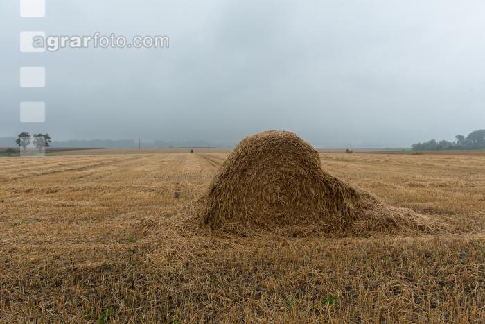 Regen in der Erntezeit 3