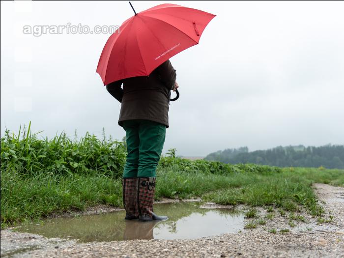 Regenperiode im Juni 1