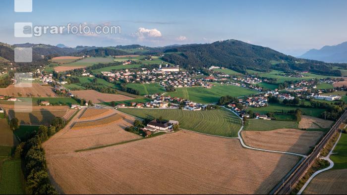Schlierbach 12