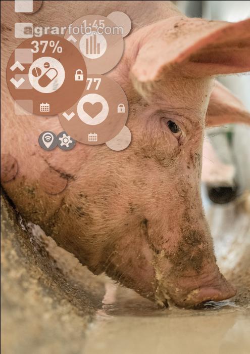 Digitale Landwirtschaft 35