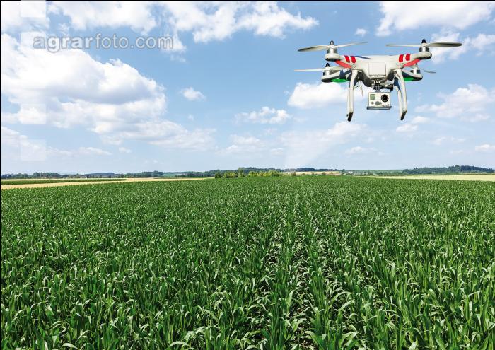 Drohnen in der Landwirtschaft 4