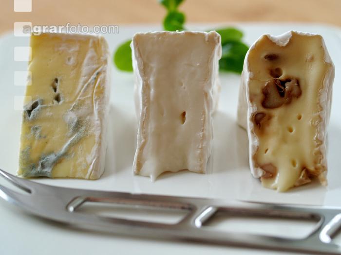 Weichkäse 1