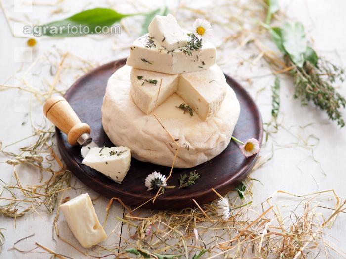 Ziegenkäse 2