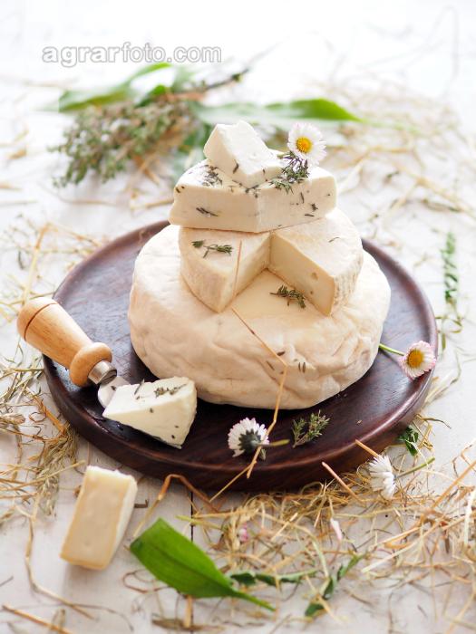 Ziegenkäse 1