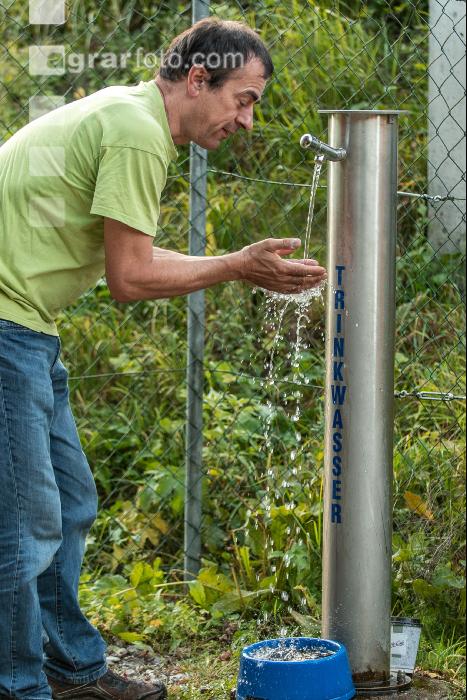Drinking water 8