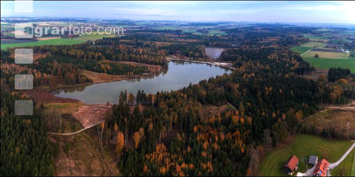Gemischter Nadelwald mit Teich