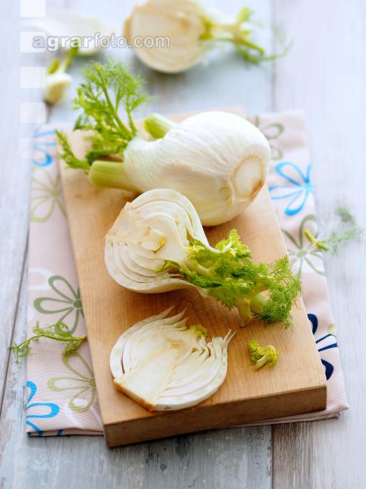 Knollenfenchel 5