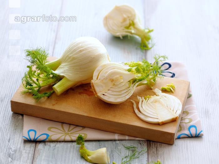 Knollenfenchel 4