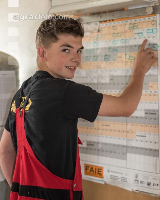 Brunstkalender