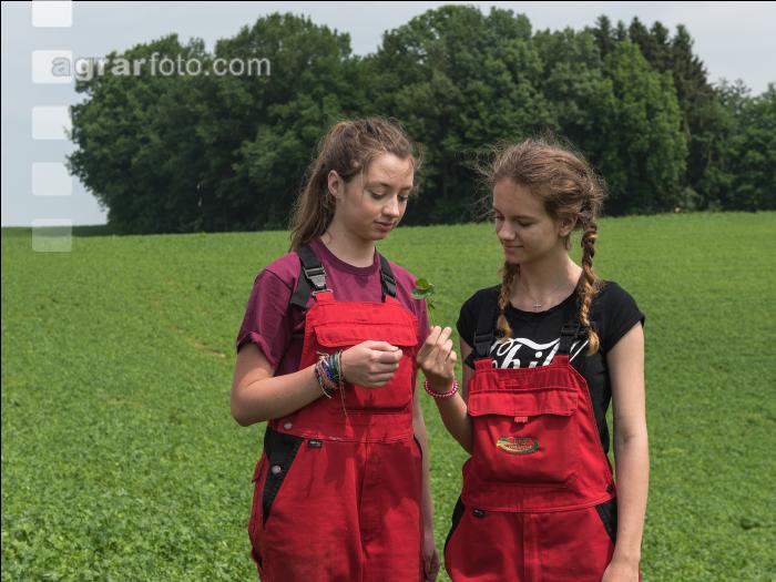 Landwirtschaftsschüler 12