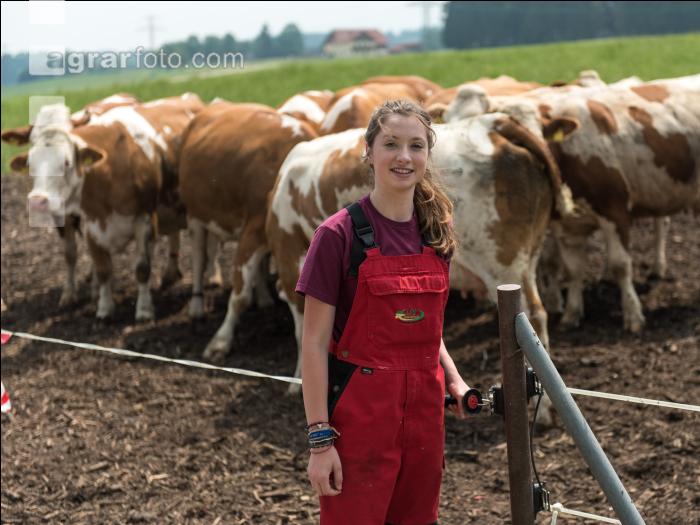 Weidezaun umstecken 4