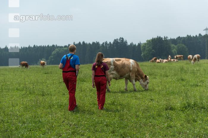 Weide Praktischer Unterricht 8