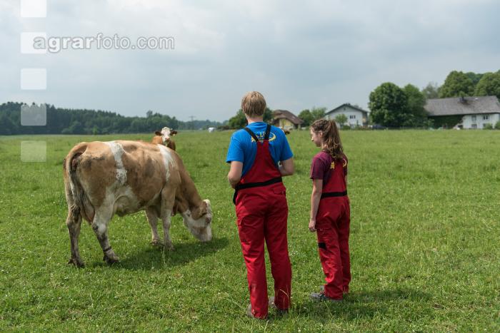 Weide Praktischer Unterricht 6