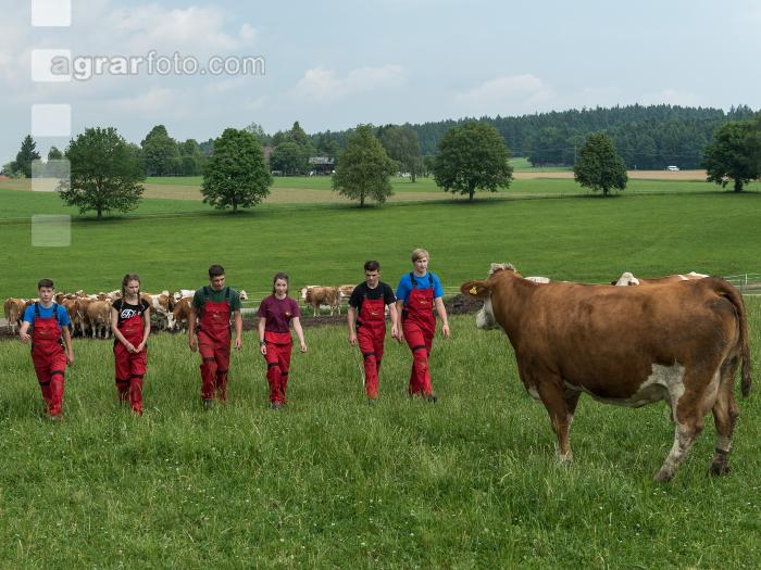 Weide Praktischer Unterricht 3