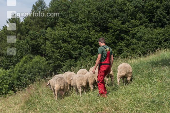 Tierhaltung Praxisunterricht 3