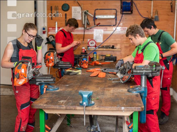 Forst Werkstatt 4