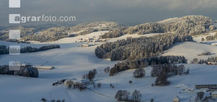 Mühlviertel Winterlandschaft 2