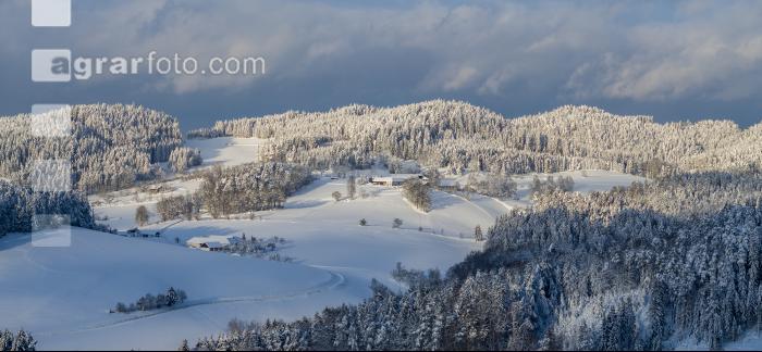 Mühlviertel Winterlandschaft 1