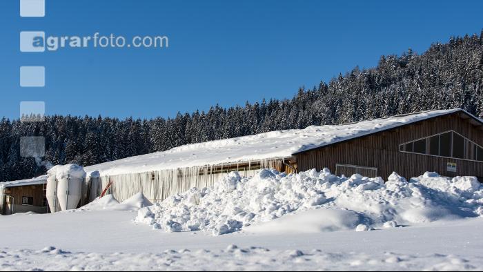Stall eingeschneit 3