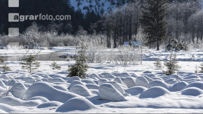 Almsee Eis und Schnee 27
