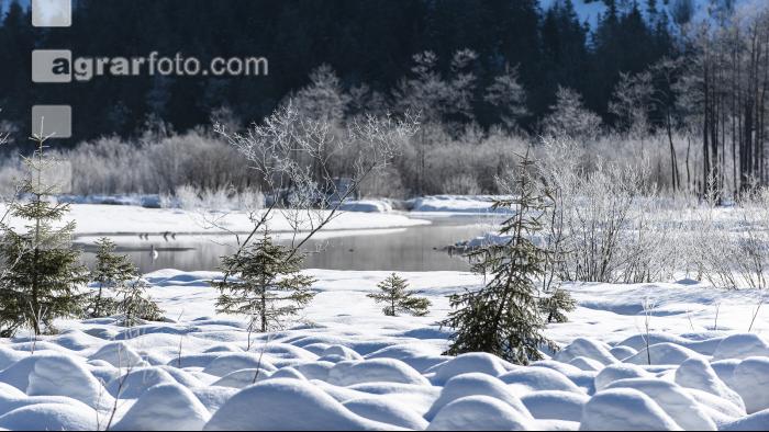 Almsee Eis und Schnee 24