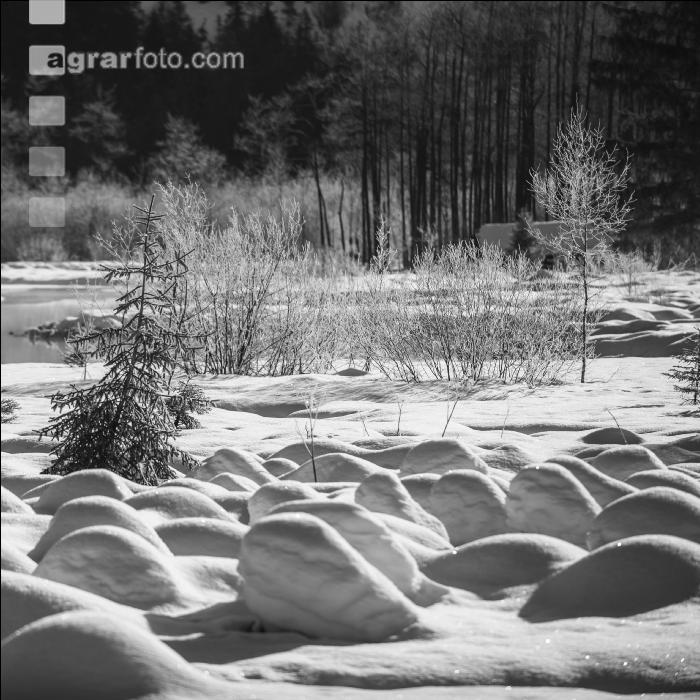 Almsee Eis und Schnee 23